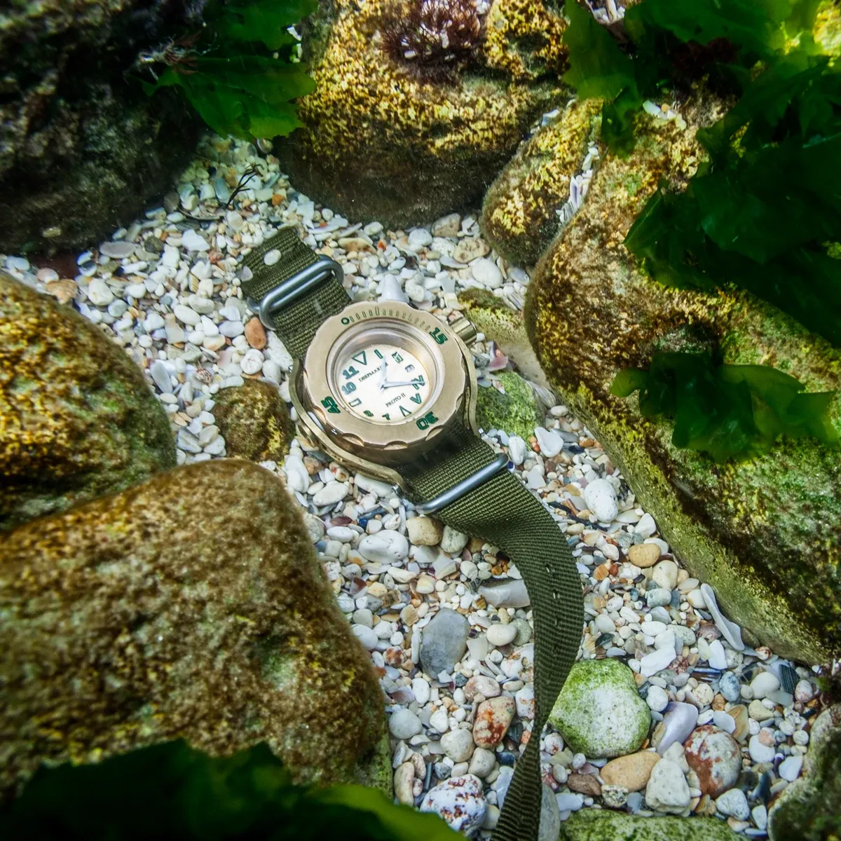 Watch Gallery